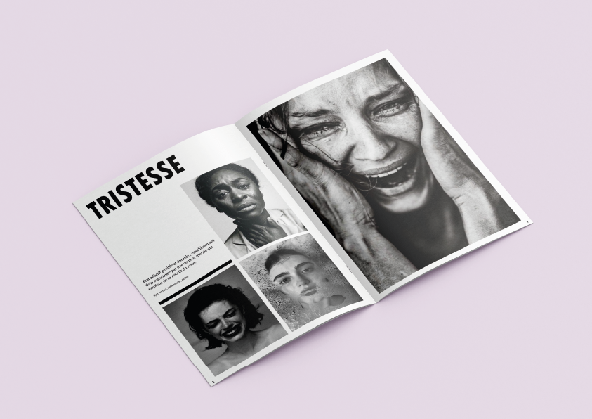 Brochure Emotions