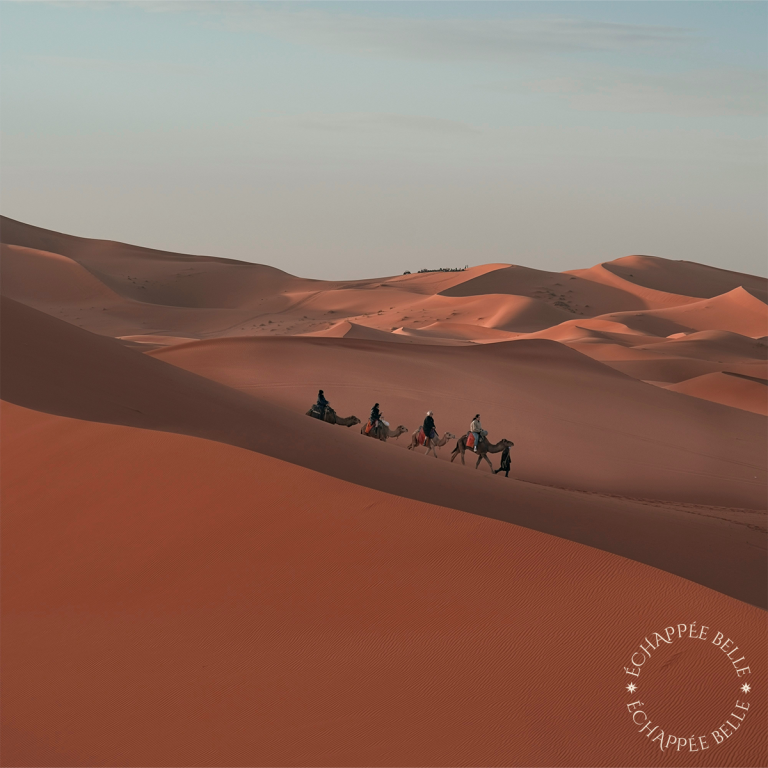 Identité visuelle organique et moderne pour une agence de voyages haut de gamme